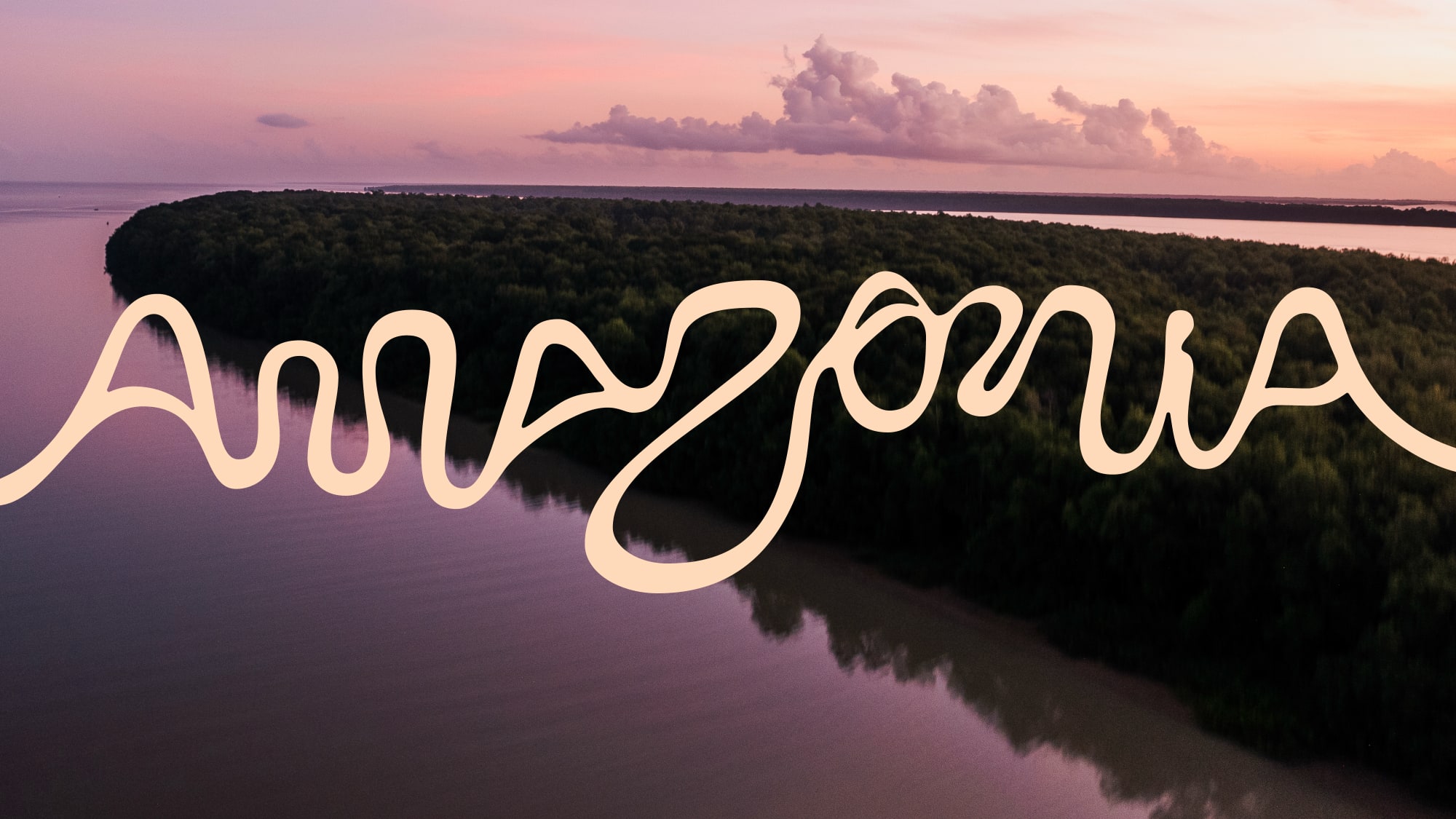 The official Amazonia wordmark featuring organic, fluid letterforms inspired by river curves.