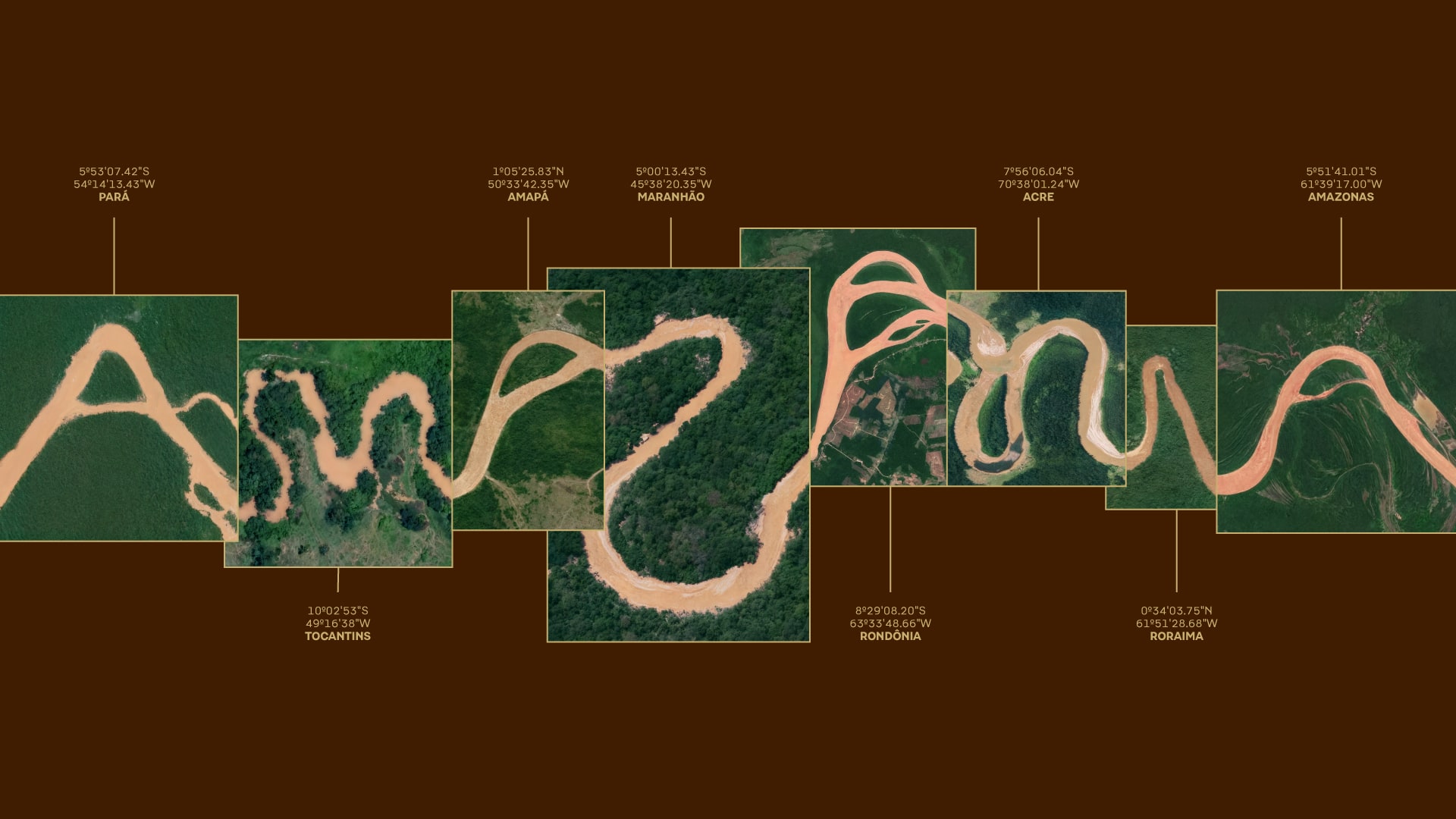 Variation of the Amazonia logo displayed on a vibrant forest green background.